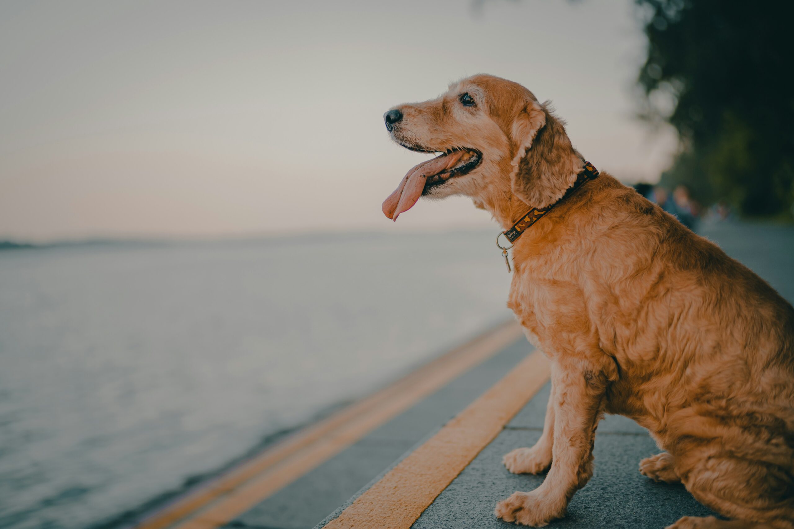 Welcome to Revive Motion Physiotherapy Clinic